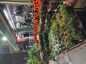 GİM MEGA - PENDİK İSTANBUL - Görsel 4