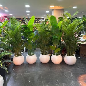 GİM MEGA - PENDİK İSTANBUL - Görsel 9