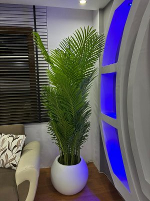 GİM MEGA - PENDİK İSTANBUL - Görsel 15